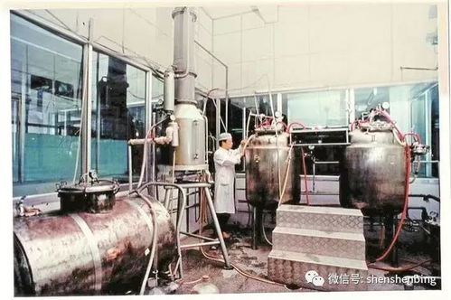 張戰 精耕生物醫藥領域 攀登灣區行業高峰